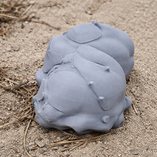 Sahelanthropus tchadensis Skull