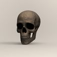 Render-Ppal.104.jpg Human skull/skull