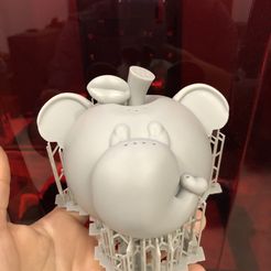 Elephant Apple / Super Mario Bros Wonder