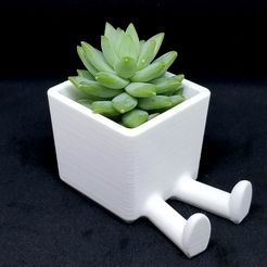 20170824_175641.jpg Succulent Planter / 3D printed planter / Legged Planter