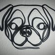 IMG_20201026_151434.jpg Pug line art