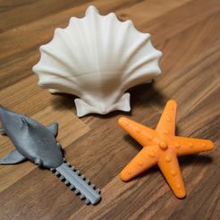 20140207-05483_display_large.jpg Free STL file Spinning Toy: Starfish, Sawfish, Shellfish・3D printable design to download, Bolnarb