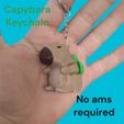 WhatsApp-Image-2025-02-17-at-22.35.00.jpeg Cute Capybara keychain keychain capybara keychain with sweet capybara turtle backpack