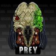 3.jpg PREY Feral Predator
