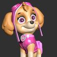 2_2.jpg Skye - Paw Patrol