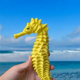 IMG_6203.png FLEXI SKELTON SEAHORSE