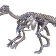 2.jpg Iguanodon: complete skeleton