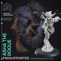 Asha-th-Rogue-1.jpg 3D file Assassin - Tabaxi Caravan - PRESUPPORTED - Illustrated and Stats - 32mm scale・Design to download and 3D print