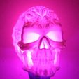 Spook6.jpg Spook Skull 3D Scan (Hollow)
