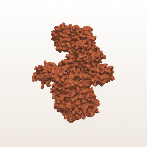 Botulinum Neurotoxin A (Botox) Protein (PDB 3BTA) - 3D Molecular Surface Model
