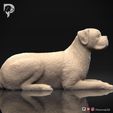 Boxer-Pose-09-Dog-3D-Print-2s.jpeg Chien Boxer Modèle imprimé en 3D Pose 09