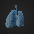 HLC_Render5.png Human Lung Cancer