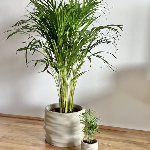 462563121_470894825478014_6846674063302204441_n.jpg Jardinera CLAYLA