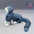 484780893_1188544266180072_5700697720562093805_n.jpg Flexi Cat, Print-in-Place, Articulated Kitty