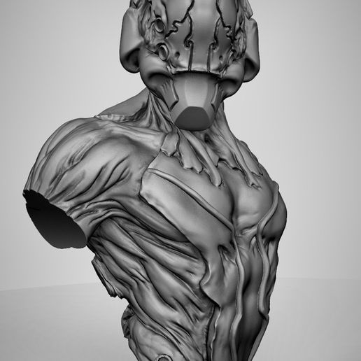 4c0534aecdf3bc91f0b2e835f29d8e18_display_large.jpg Buste bio morph