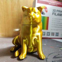 289606111_437927124567950_6532757180026275156_n.jpg Fichier STL gratuit Cheems SD Holder・Design à télécharger et à imprimer en 3D