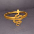 Preview-01-KTFRD05 Filigree Snake Geometric Ring design 3D Print by KTkaRaj.jpg KTFRD05 Filigree Snake Geometric Ring 3D design Jewelry