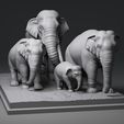 01.jpg Elephant family
