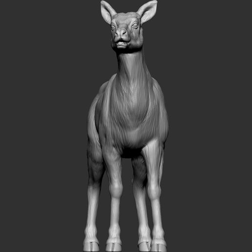 ♀️ Elk female・Free STL File for 3D printing・Cults