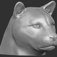 10.jpg Leopard head for 3D printing