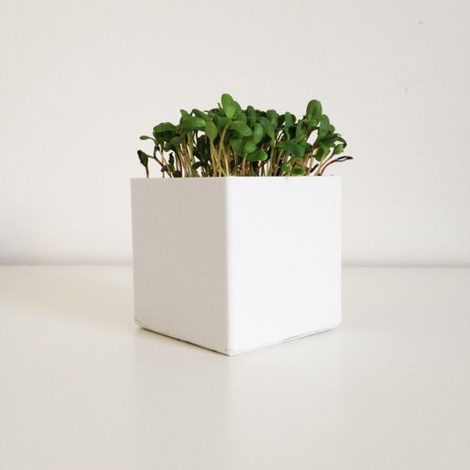 Little Square Planter 3D model