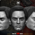 TOBYSDSS.png SPIDERMAN / PETER PARKER / TOBEY MAGUIRE HEAD