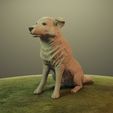 DRENDER1.jpg Cane