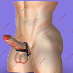 BDSM-ERECTION-POWER-PENIS-RING01.png Файл OBJ БДСМ УСИЛЕНИЕ ЭРЕКЦИИ КОЛЬЦО ДЛЯ ПЕНИСА・Идея 3D-печати для скачивания