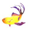 9.jpg GOLDFISH Guppy Blue Grass FISH TOAD AMPHIBIAN TADPOLE ANIMAL ANATOMY 3D MODEL WATER OCEAN RIVER BOAT SALMON SHARK