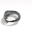 Claw ring 2.jpg Claw ring