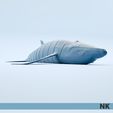 Humpback_Whale_01.jpg ГИБКИЕ ШАРНИРНЫЕ КИТЫ