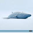 Humpback_Whale_01.jpg FLEXI ARTICULATED WHALES