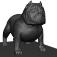 untitled.png american bully