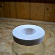 _DSC0227.JPG fruit fly trap