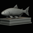 golden-dorado-statue-box-1-27.png fish golden dorado / Salminus brasiliensis with storage space / for 3d printing
