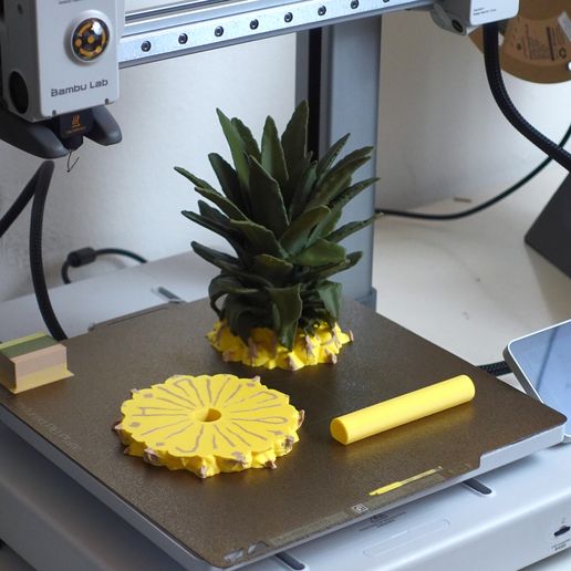 02.jpg Pineapple coasters