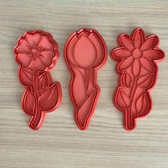 WhatsApp-Image-2024-01-30-at-12.44.17.jpeg FLOWERS - COOKIE CUTTER