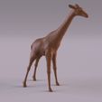 Гираффе_0001.jpg Wildlife animals