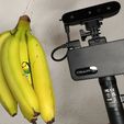 bananascanner.jpg A Hand of Bananas 3D Scan