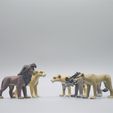 DSC_3260.jpg Lions 3D models set - STL