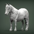 pony4.jpg Modelo de impresión 3D de poni