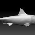 2.jpg Bruce Shark 2 - Jaws