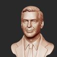 11.jpg George Clooney 3D print model