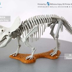 Esqueleto de Triceratops prorsus