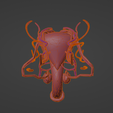11.png 3D Model of Male Reproductive System and Veins