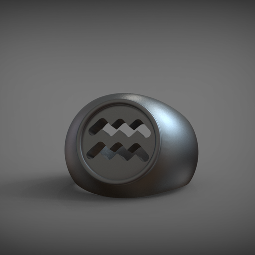 Aquarius Ring 3D model