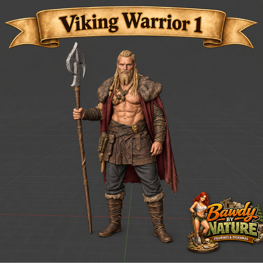 Viking Warrior 1