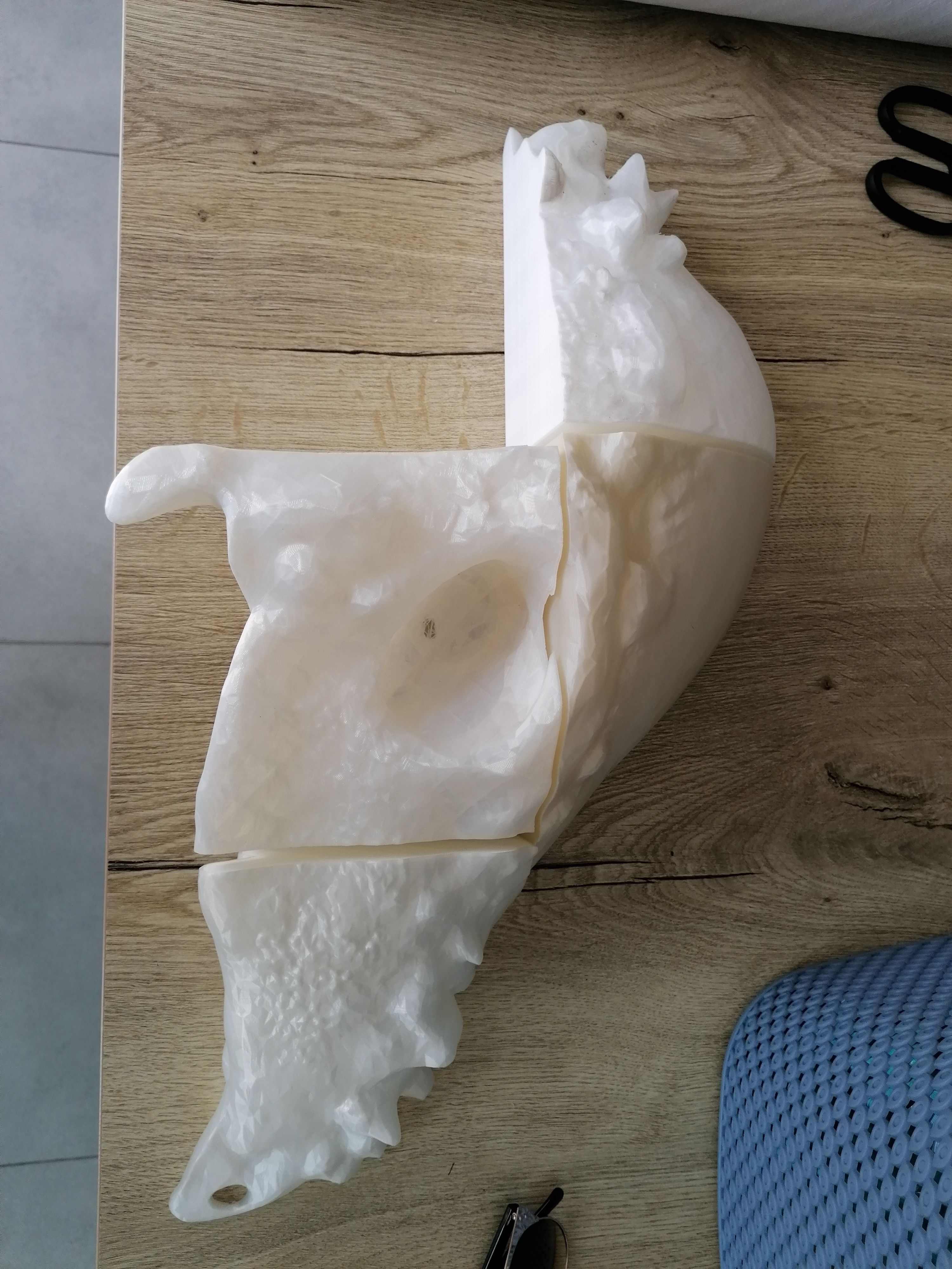 IMG_20200620_104009.jpg Fichier STL Crâne de Pachycéphalosaure・Modèle à télécharger et à imprimer en 3D, Think3dprint