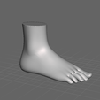 foot-2.png right foot of a woman