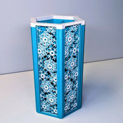 PXL_20231103_162627498~4.jpg Interchangeable Vase Snowflake Panels